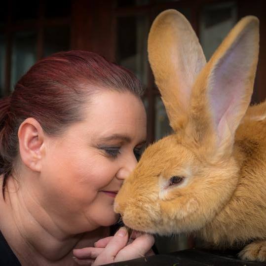 Atlas the Rabbit O-fur-cial Page