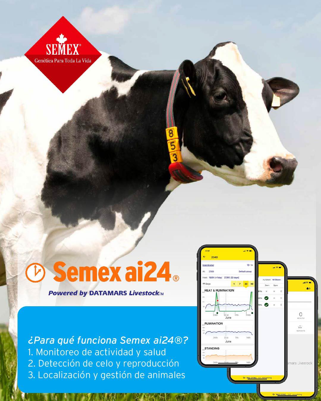 Semex - 💪¿QUIERES REALMENTE SUBIR TU ESTABLO A OTRO NIVEL? Semex ai24 ...