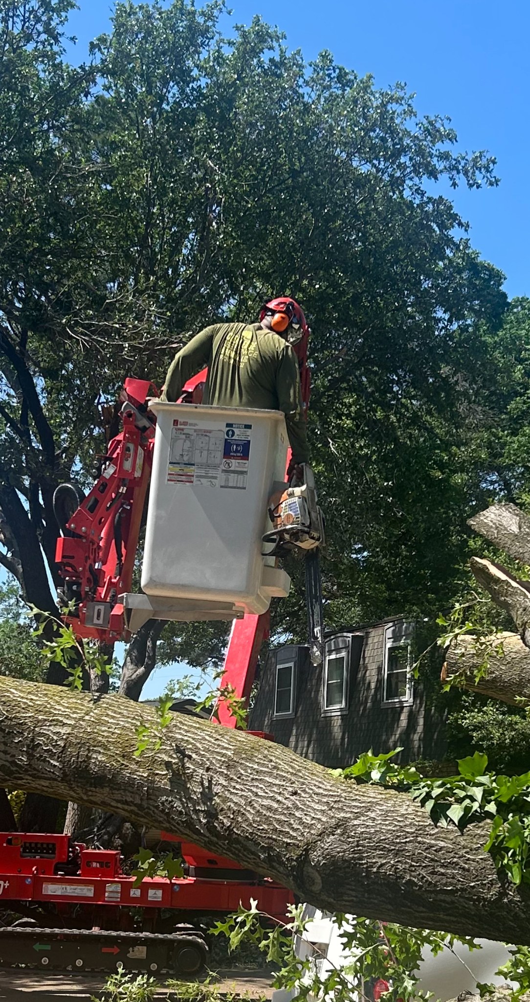 Clean Edge Tree Service & Removal, LLC | Denton TX