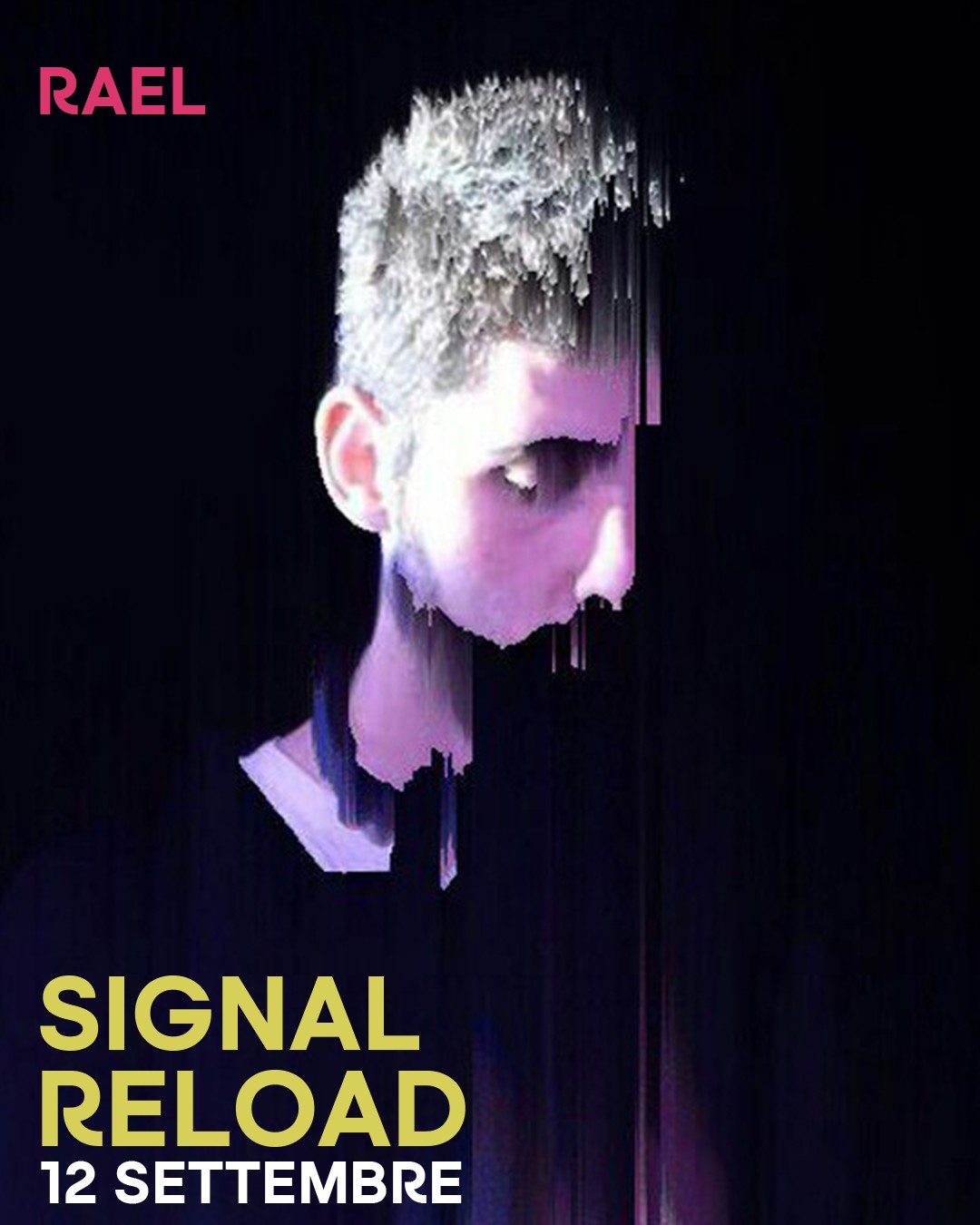 Signal Festival