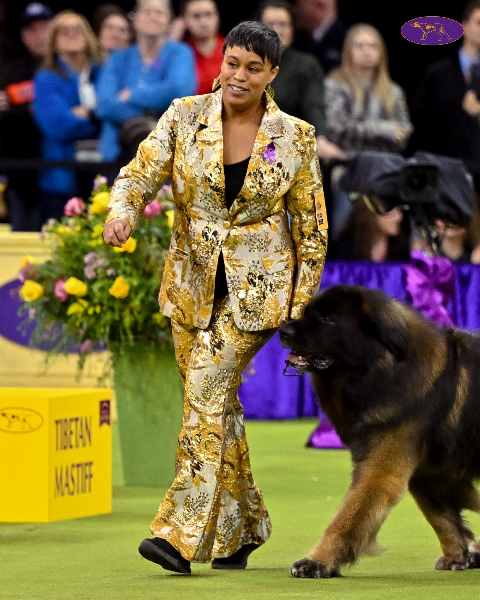 Westminster - Congrats to the winner of the Herding Group, Coco