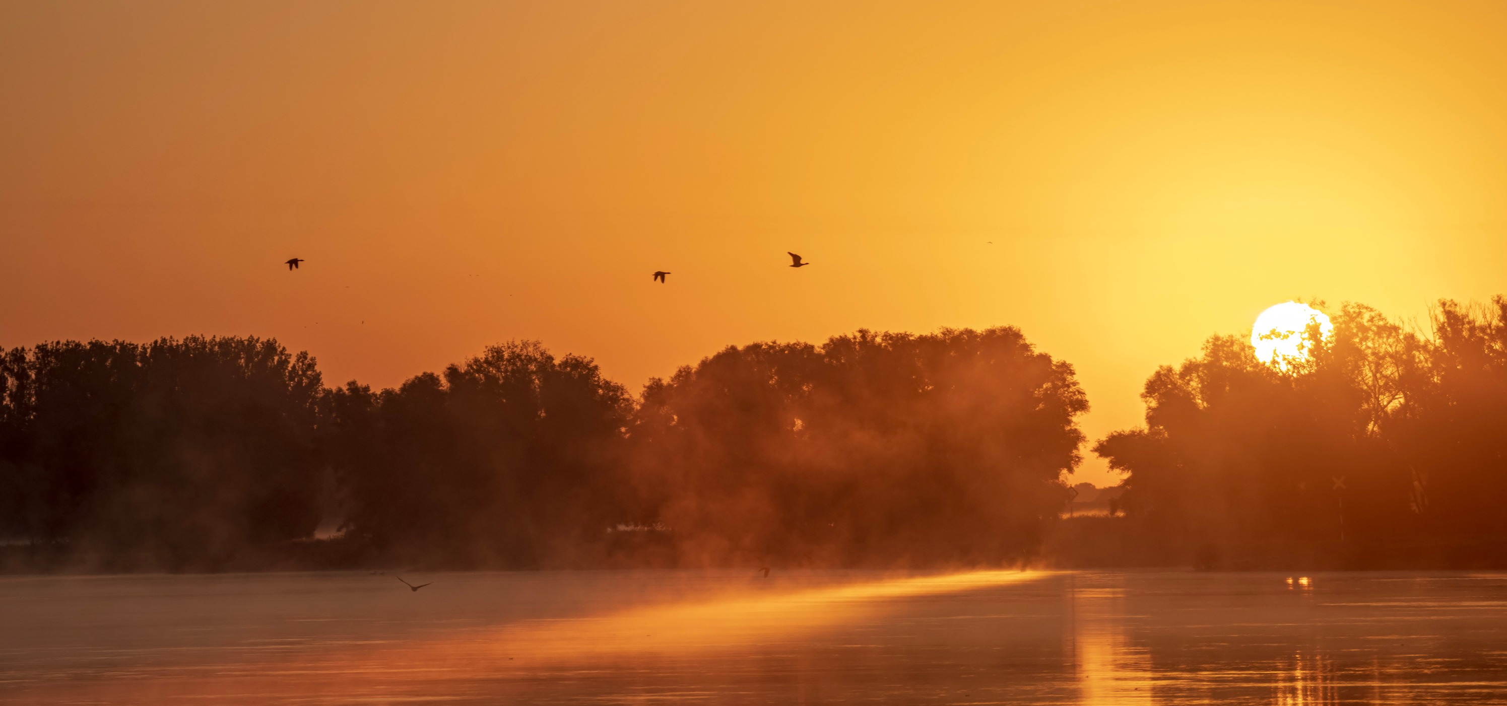 Arné Roest Natuurfotografie... - Arné Roest Natuurfotografie