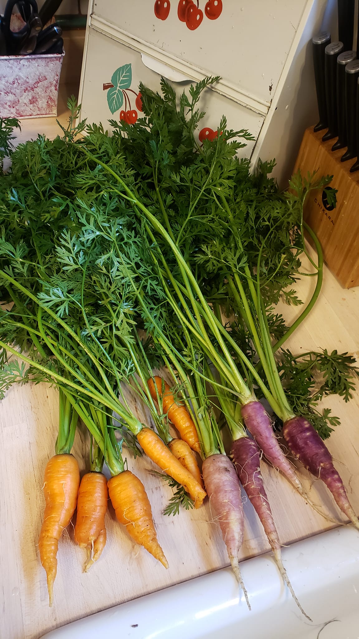 Gniff carrot 🥕 the glorious and flavorful heirloom from