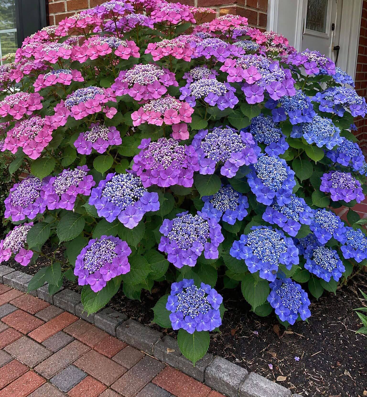 Flower lovers様☆相談ページ Flower Lovers (@flowerlovers12) • Facebook