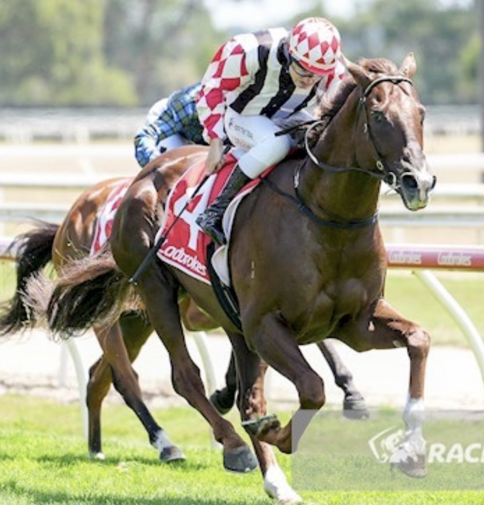 Aaron E Laing Racing | Clyde North VIC