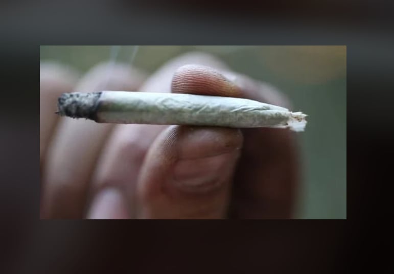 It's 4/20! Are These the Best Stoner Movies? Time to grab some