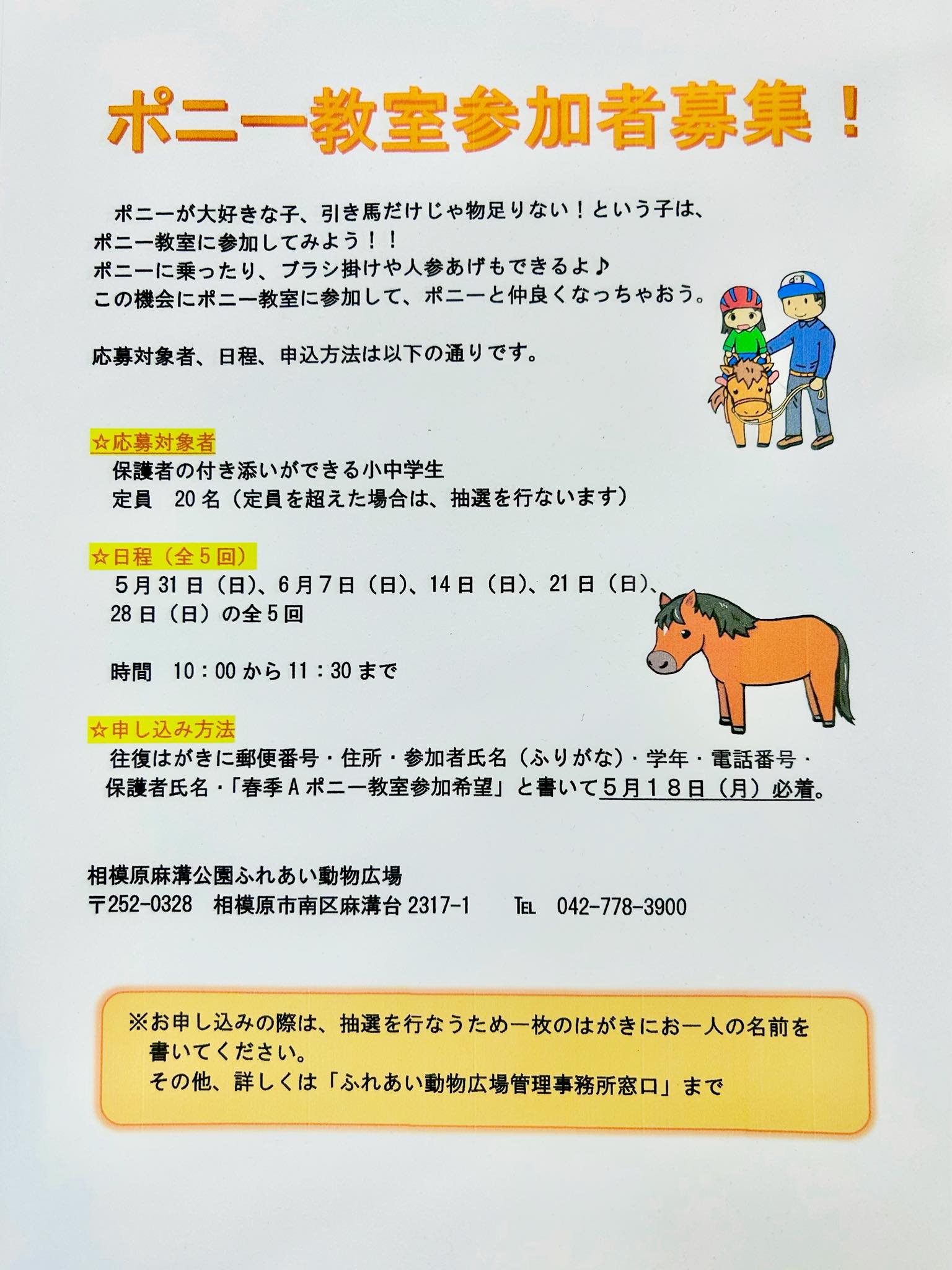 ?春季ポニー教室のお知らせ? 小学生・中学生を対象としたポニー教室 