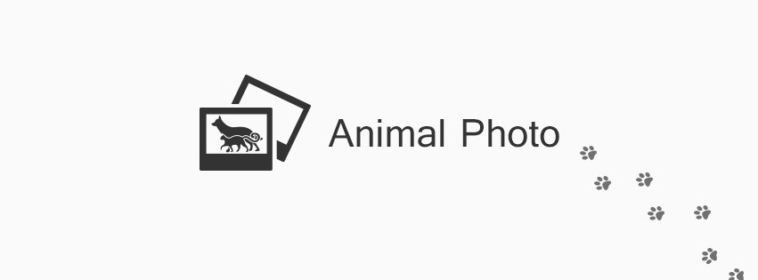 可愛い動物 犬 猫の動画 写真 Animal Photo Home Facebook