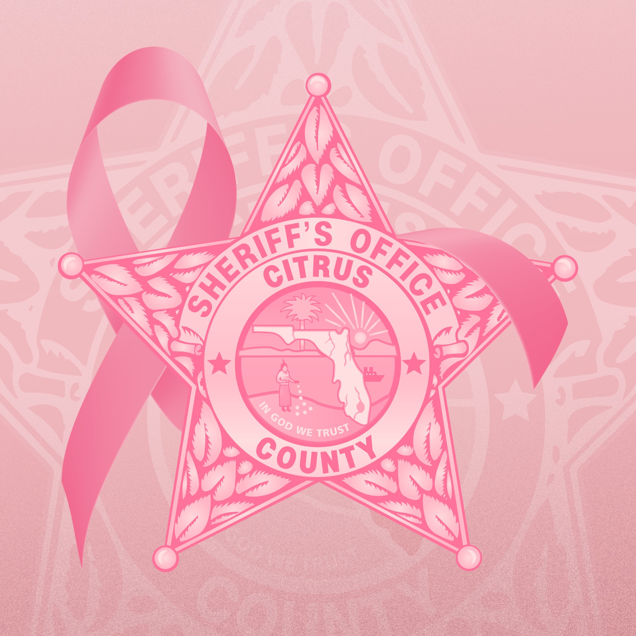 CCSO NON-EMERGENCY LINE... - Citrus County Sheriff's Office | Facebook