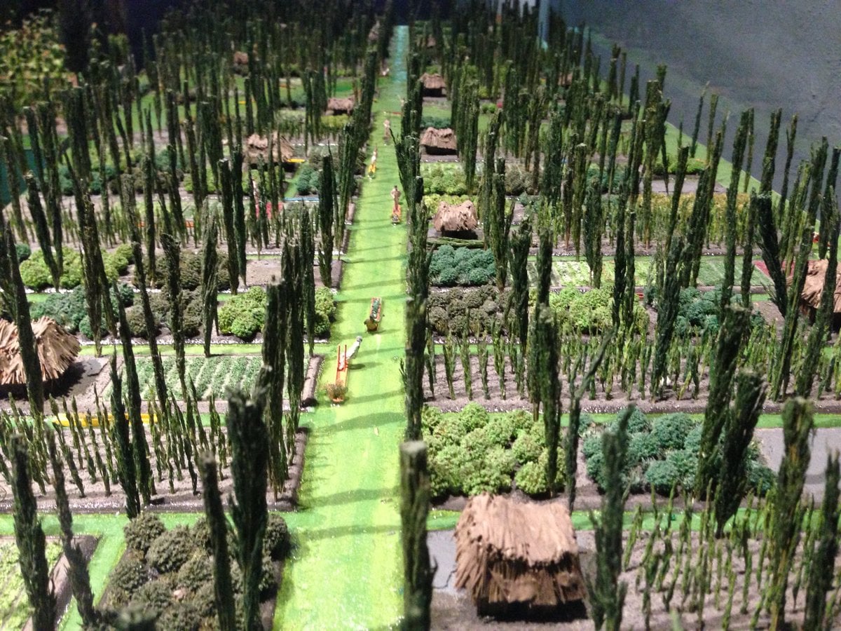 México - EL ANCLA SAGRADA DE LAS CHINAMPAS ¿LO CONOCIAS? AHUEJOTE Salix ...