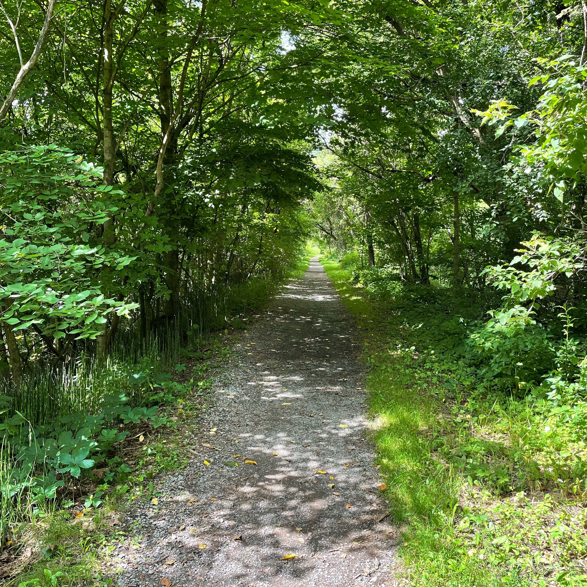 What's Happening! South Frontenac Ontario!!! | Just want to send out a ...