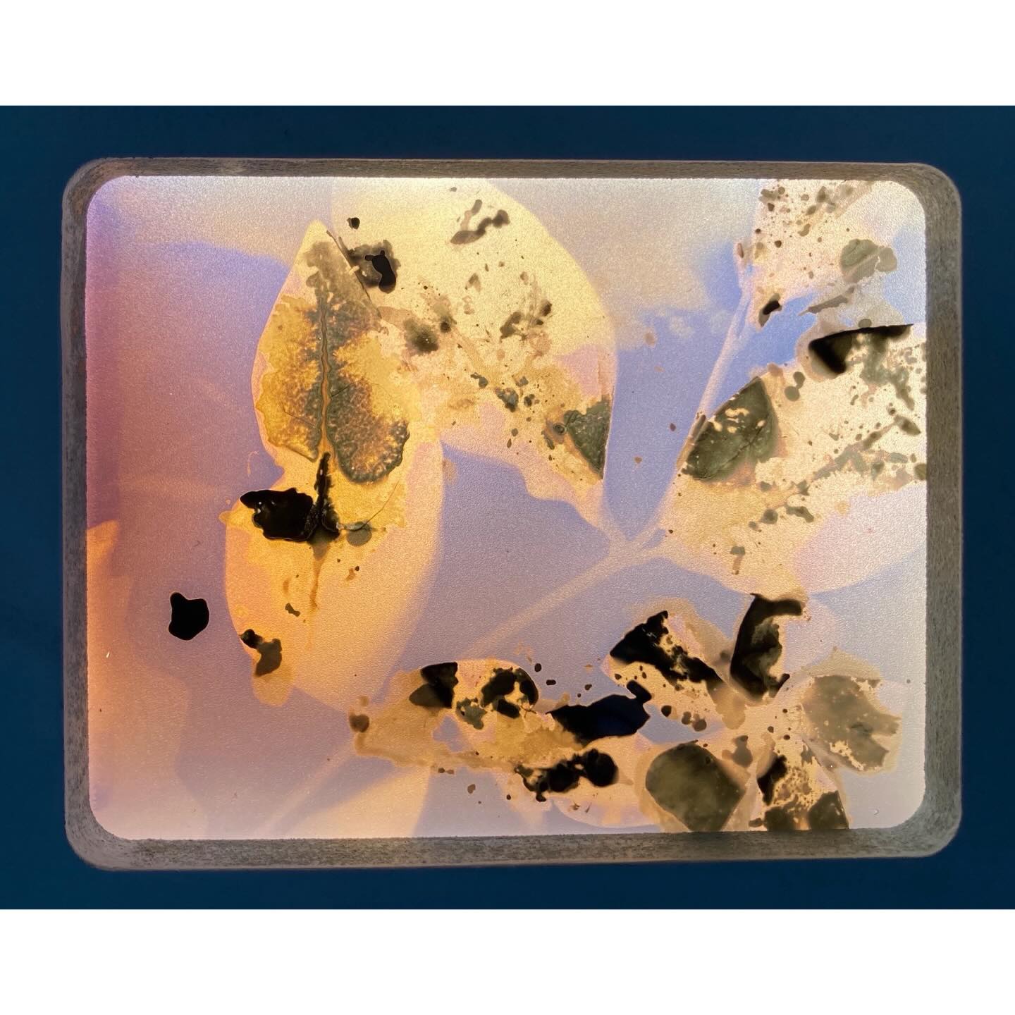 PMC Printmakers Council added a... - PMC Printmakers Council
