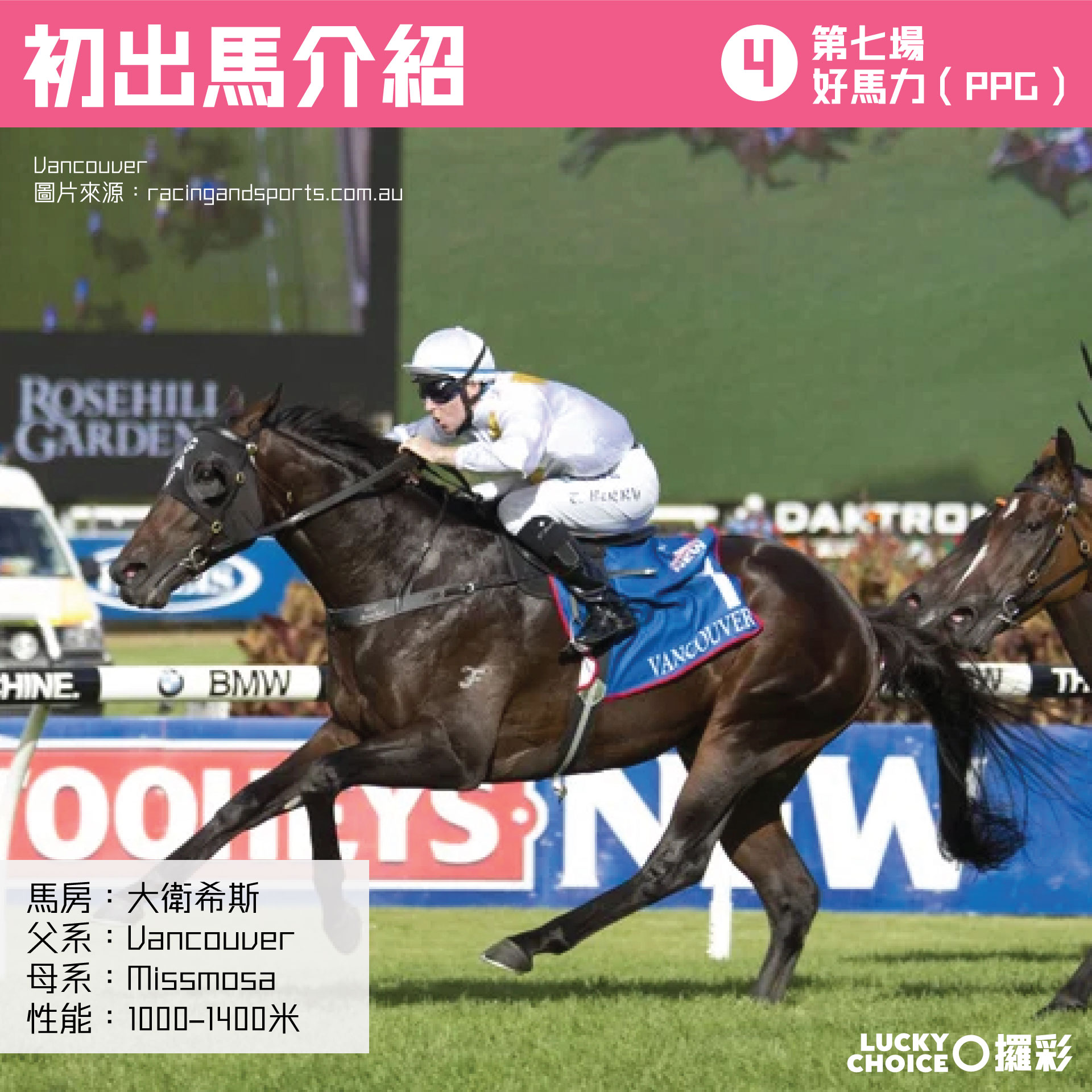 攞彩 Lucky Choice - 【初出馬介紹】 R7 4 好馬力(PPG) 馬房：大衛希斯...