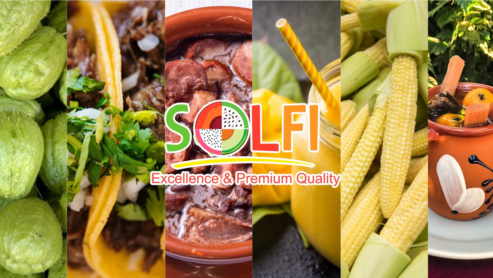 SOLFI GROUP INC. | Commerce CA