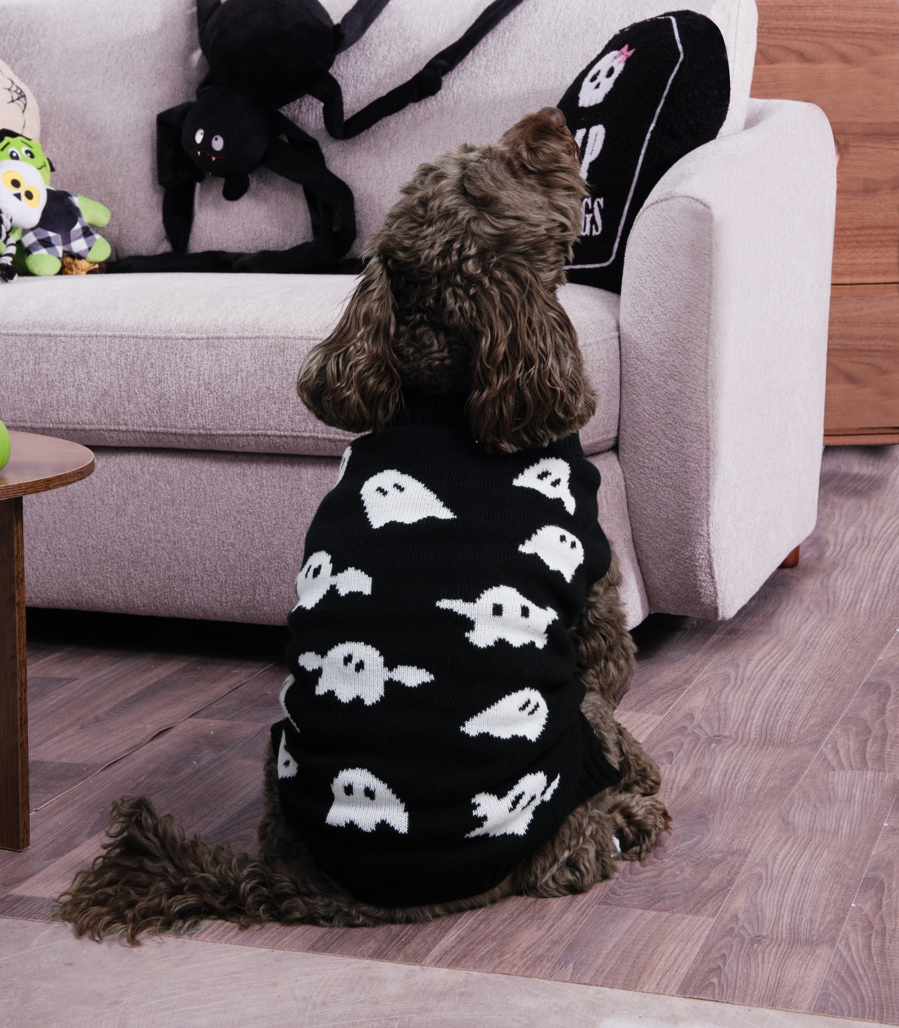 👻🐶 HAPPY HOWL-O-WEEN! 🎃 Things are getting pawsitively spooky