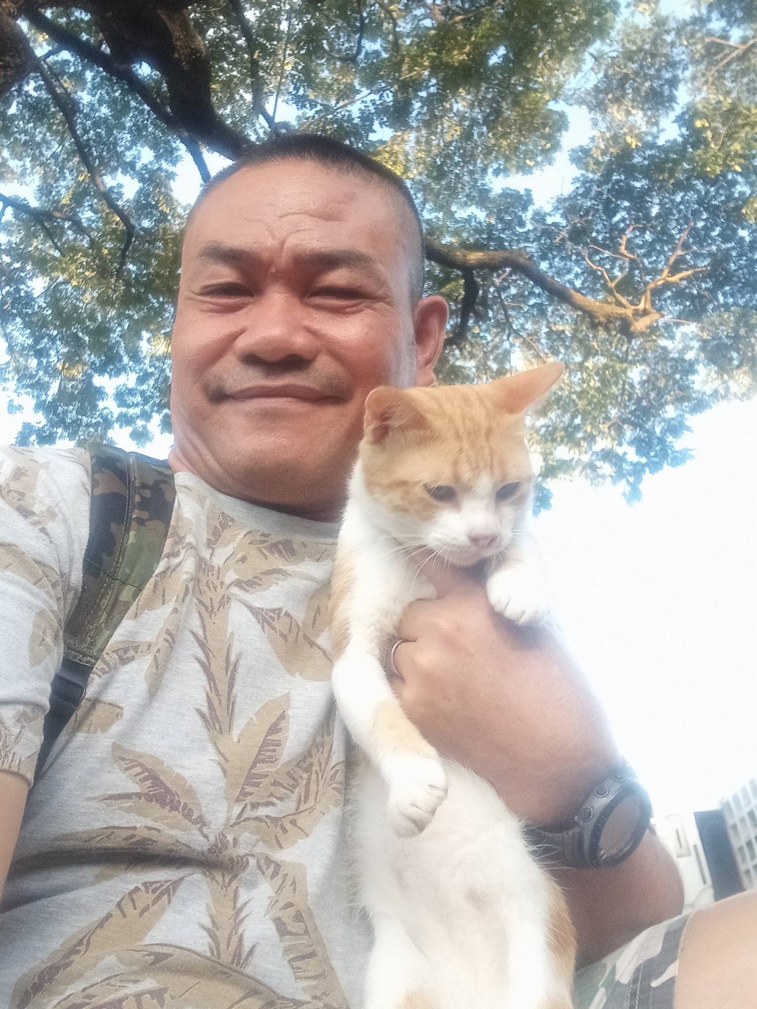 CAT LOVERS PHILIPPINES (OFFICIAL) | Ang bait naman at ang amo ni orange ...