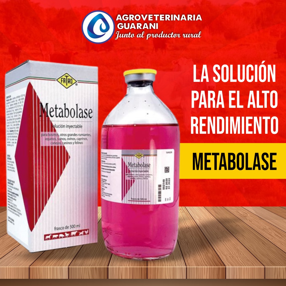 Agroveterinaria Guarani | Rivera