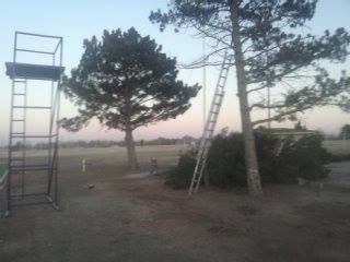Bernie's Tree Service | Dodge City KS