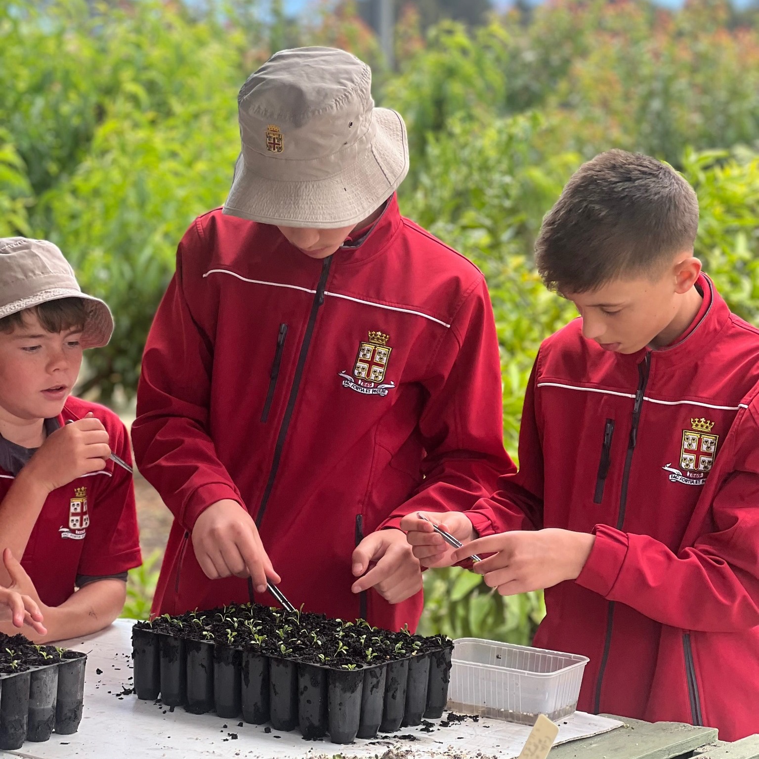 Prince Alfred College added a new... - Prince Alfred College