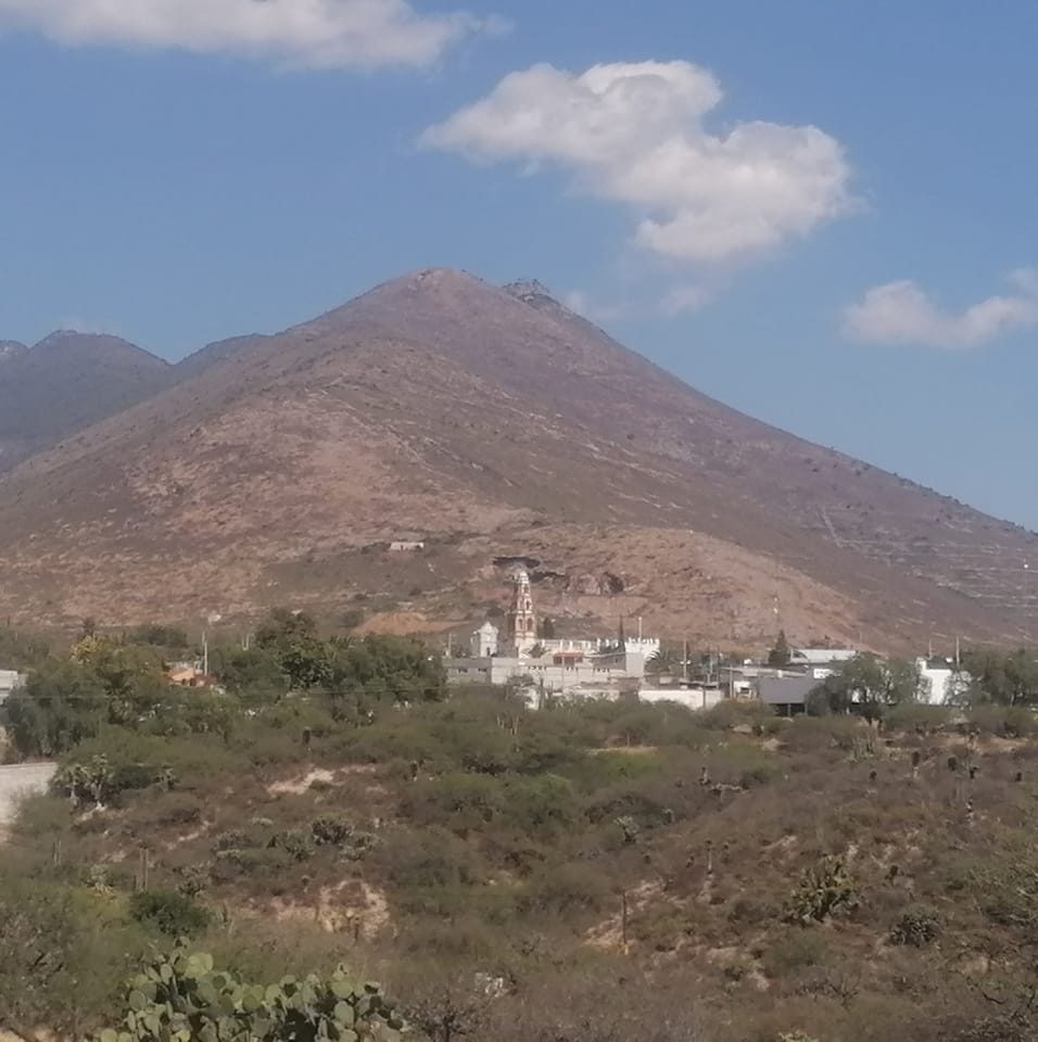 Palacios Cardonal Hidalgo... - Palacios Cardonal Hidalgo M.
