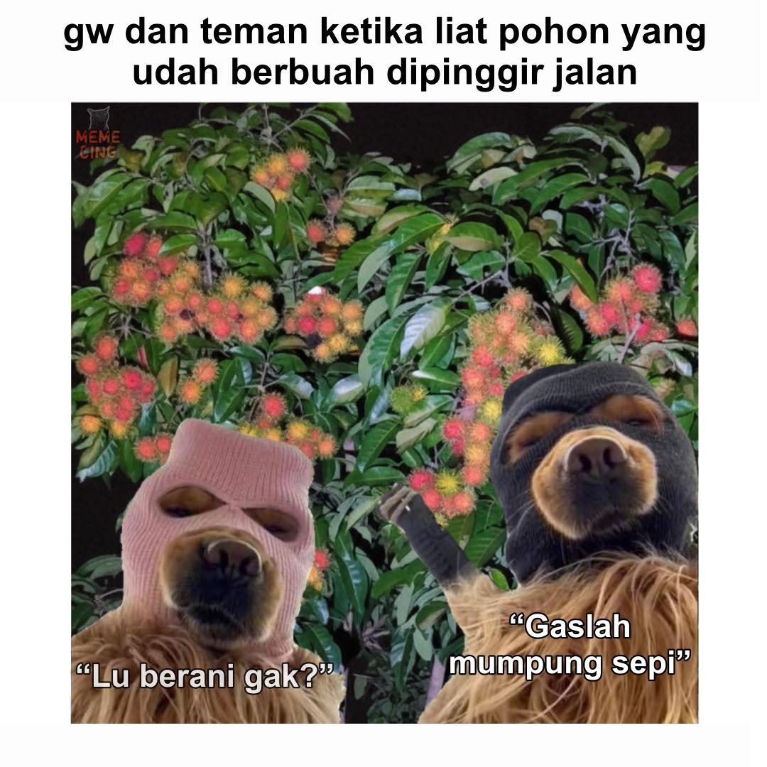 Memecing