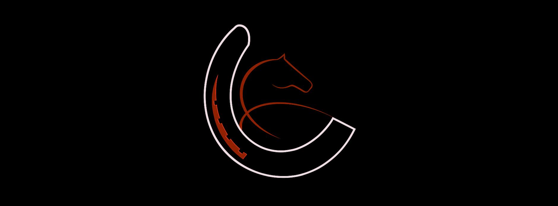 3D HoofCare | Farrier tips... Nice use of Squish Pad and Spacer for ...