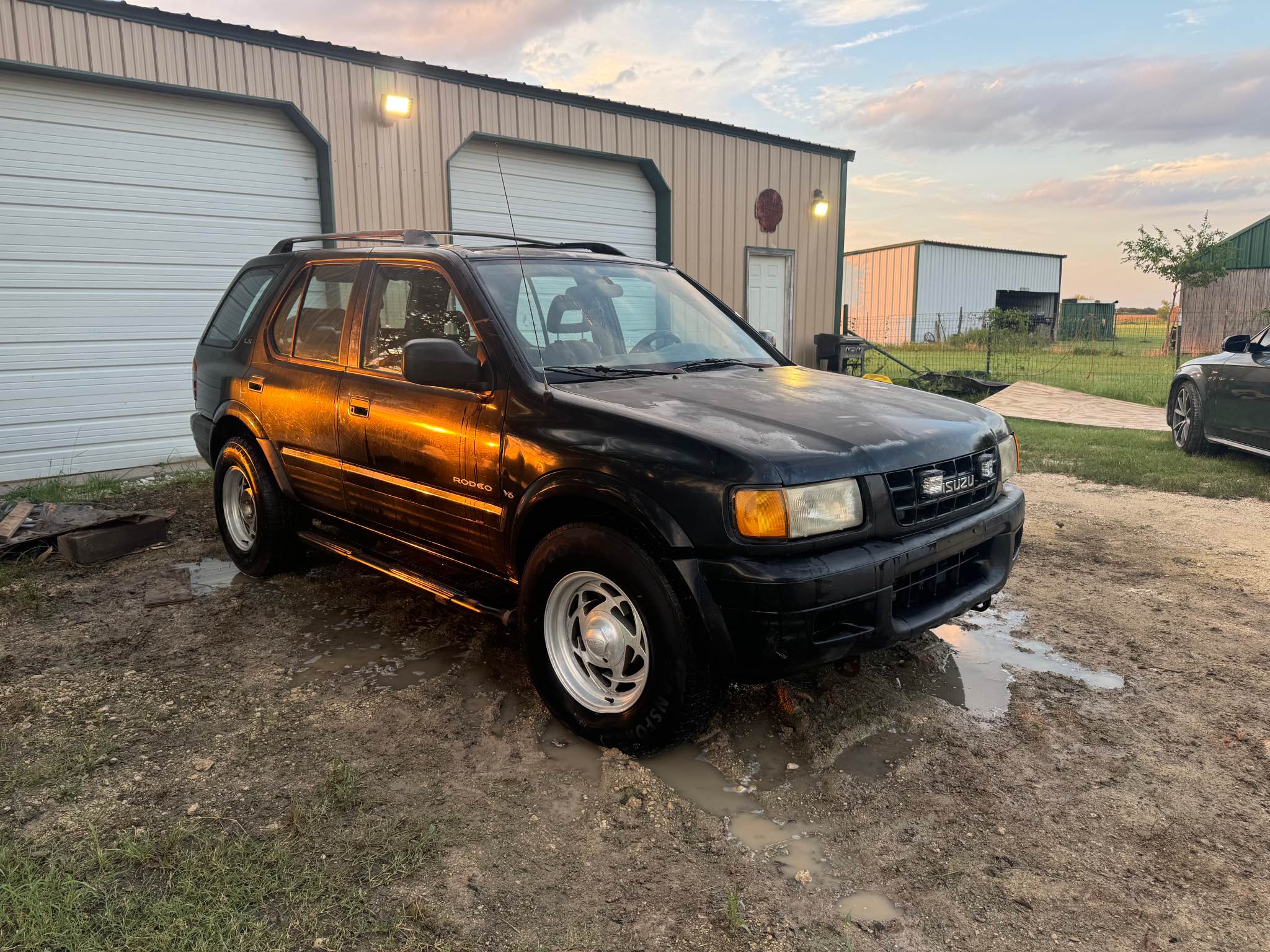 1999 Isuzu Rodeo · LS Sport Utility 4D - Cars & Trucks - Elm Mott ...