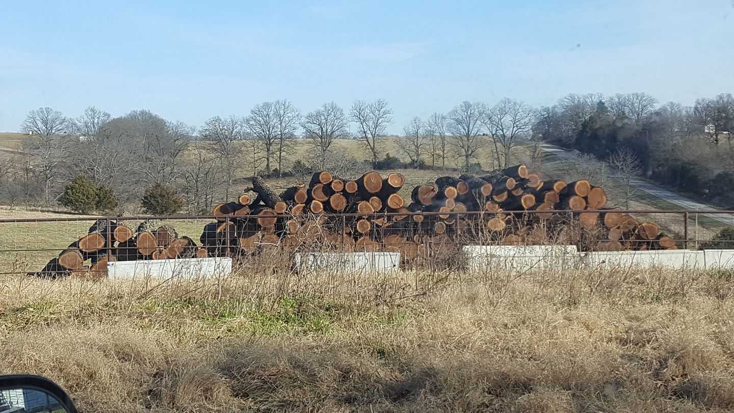 Midwest Loggers & Forestry & Timber Harvesting | 👇 DROP A PIC of what ...