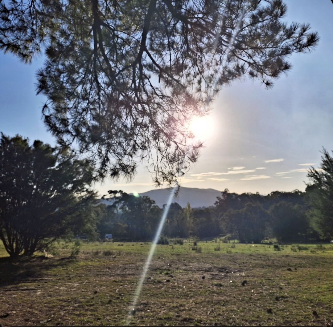 Sol - Somatic Therapy | Melbourne VIC