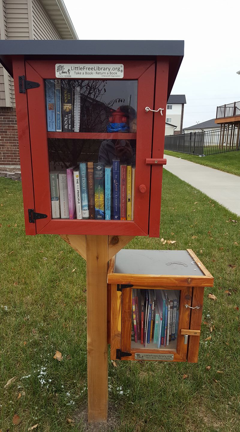 Little Red Library on 8th - I noticed some new books in the library ...