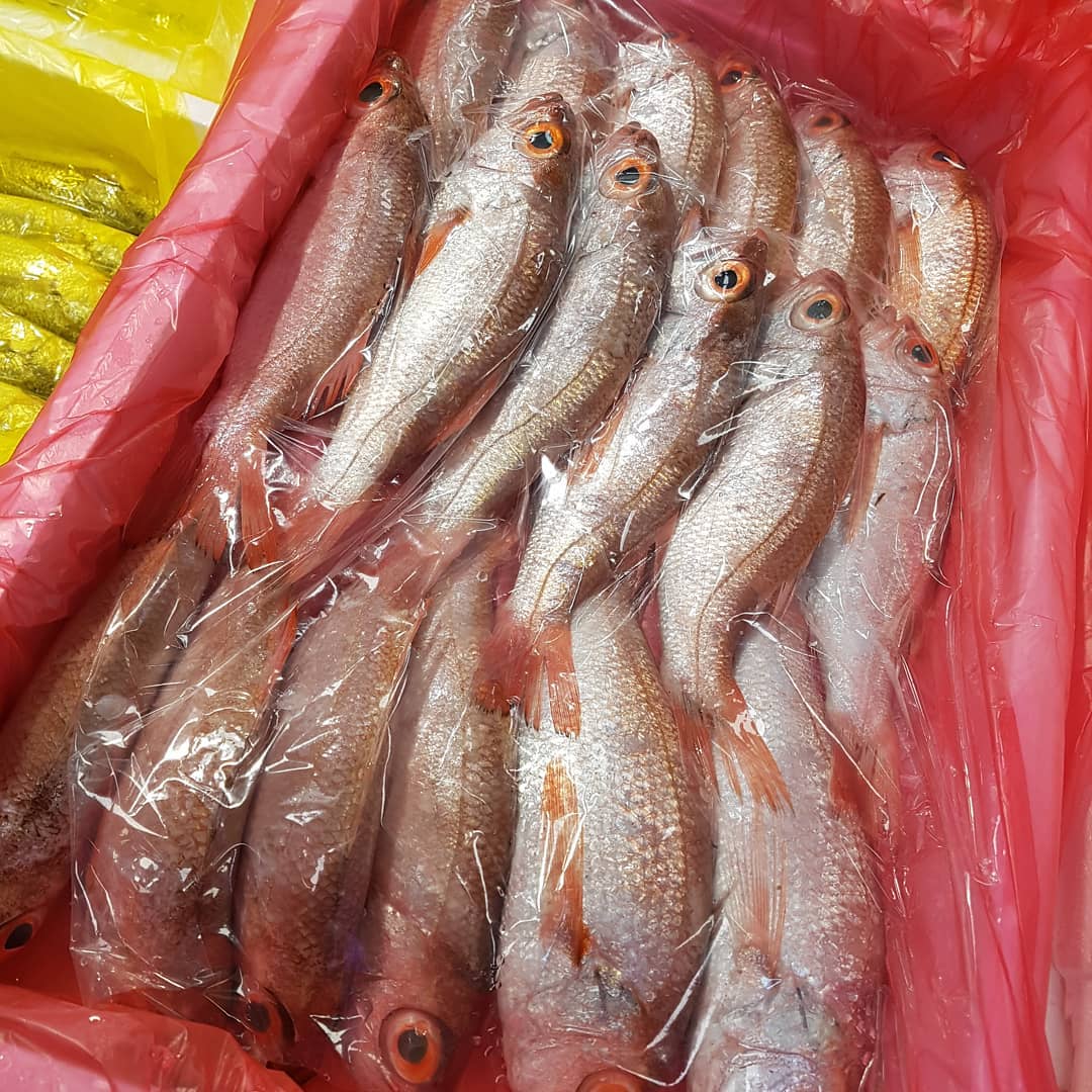 grill_yeon - #금태 가 오늘 많이 나왔어요~ 선도도 엄청 좋고 사고 싶었는데..ㅜㅡㅜ 아직...