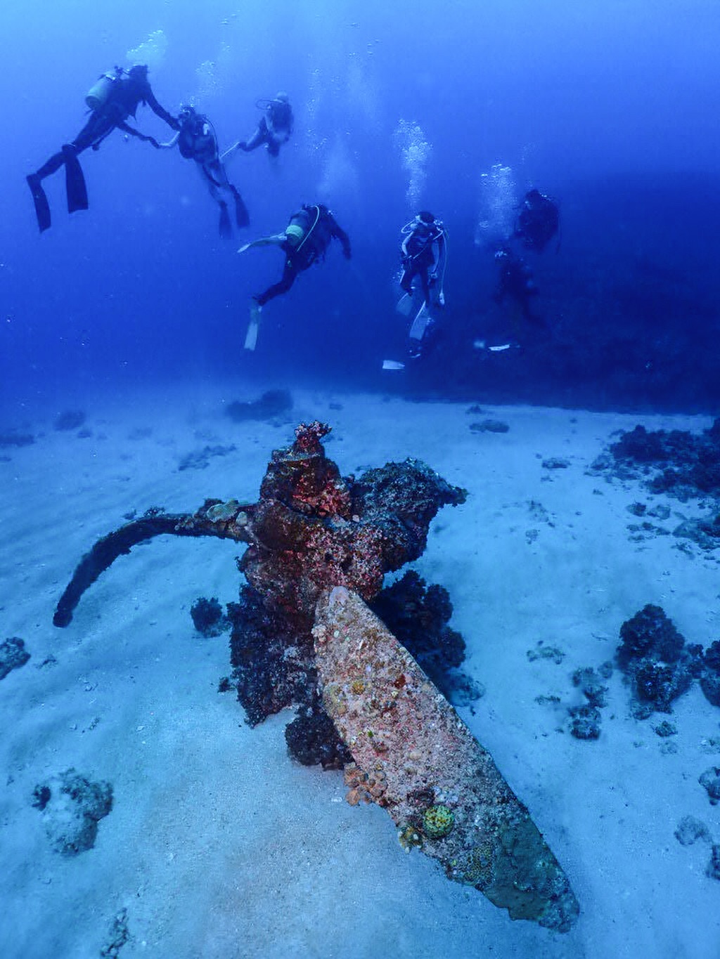海の神 お知らせ】 本日、日本初の水中彫刻“Ocean Gaia”オーシャンガイアの