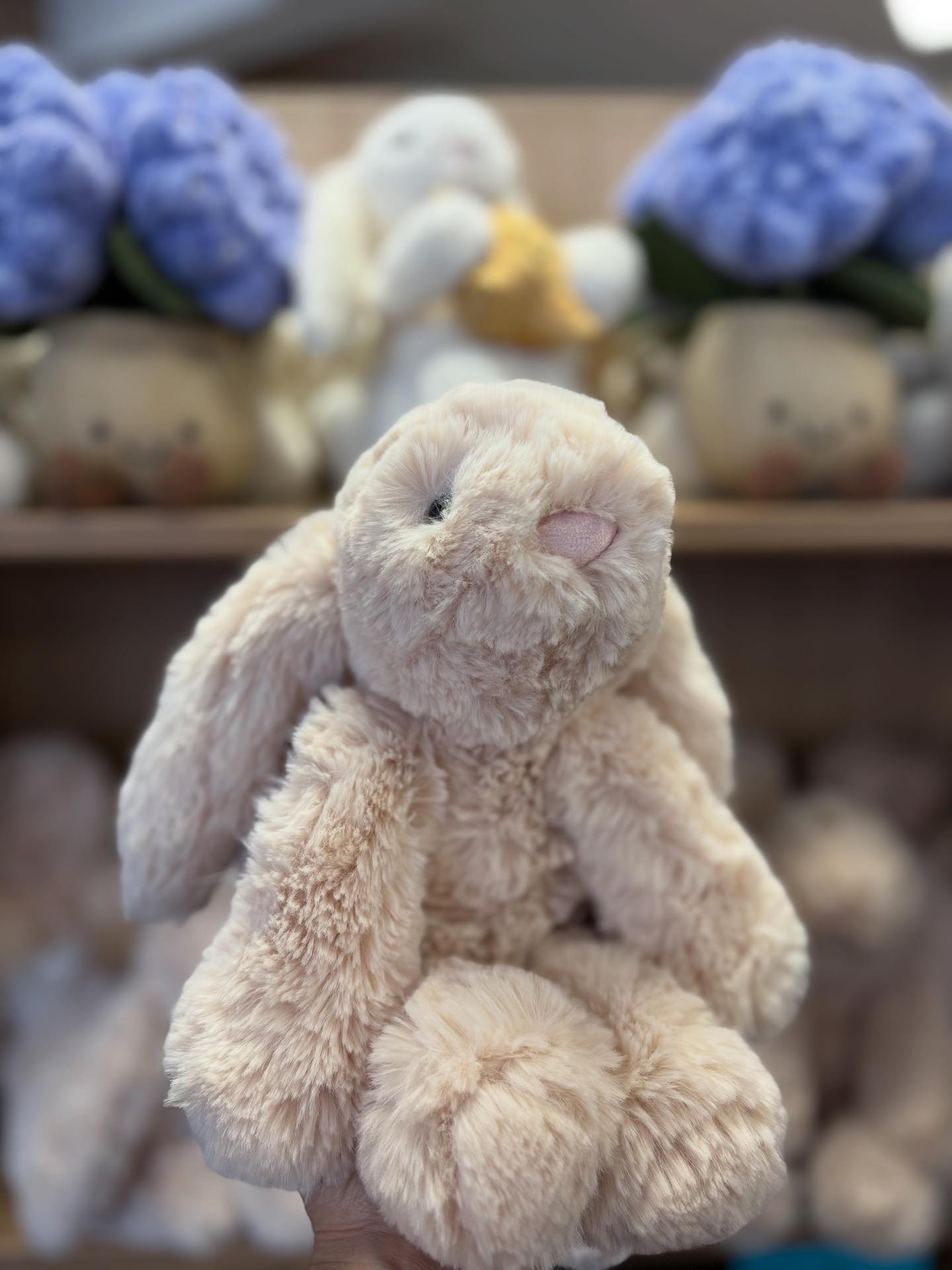 New delivery! My name is Smudge Rabbit 🐰🐰