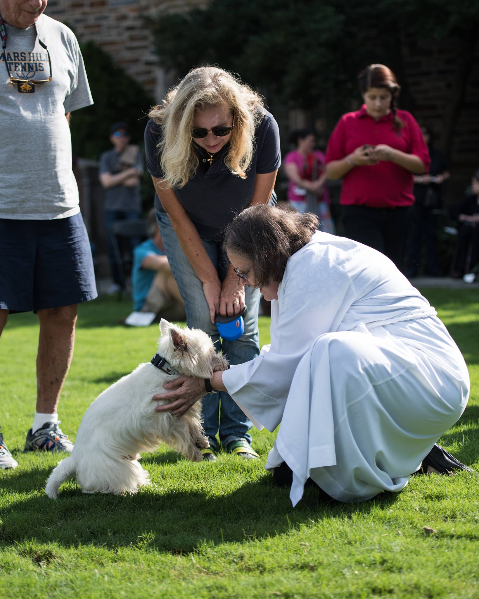 Go veterinary... - Go veterinary rehabilitation clinic