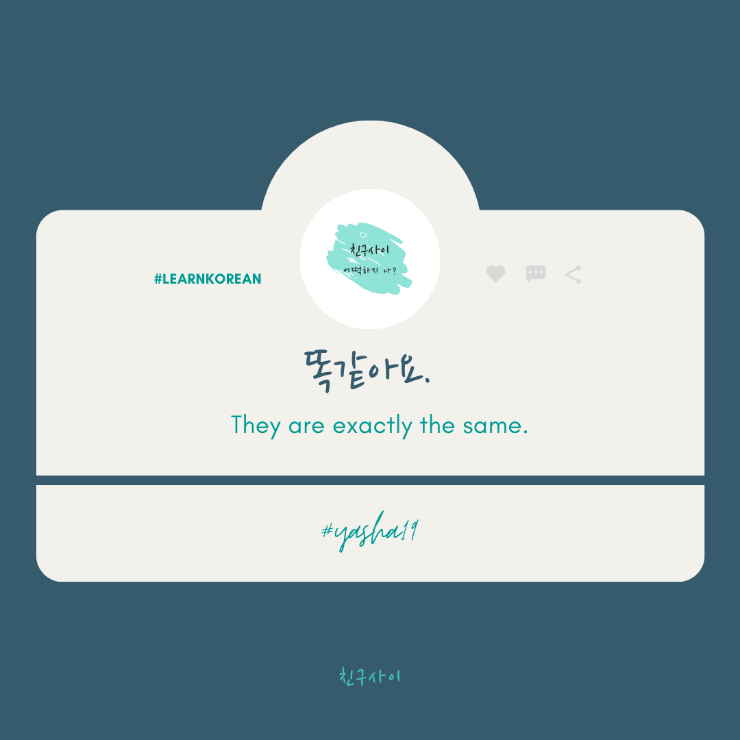 일취월장 - 똑같아요. They are exactly the same. 똑 = exactly 같다 =... | Facebook