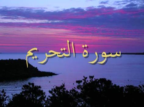القرآن الكريم و احاديث نبوية - سورة الجاثية بِسْمِ اللَّهِ الرَّحْمَنِ ...