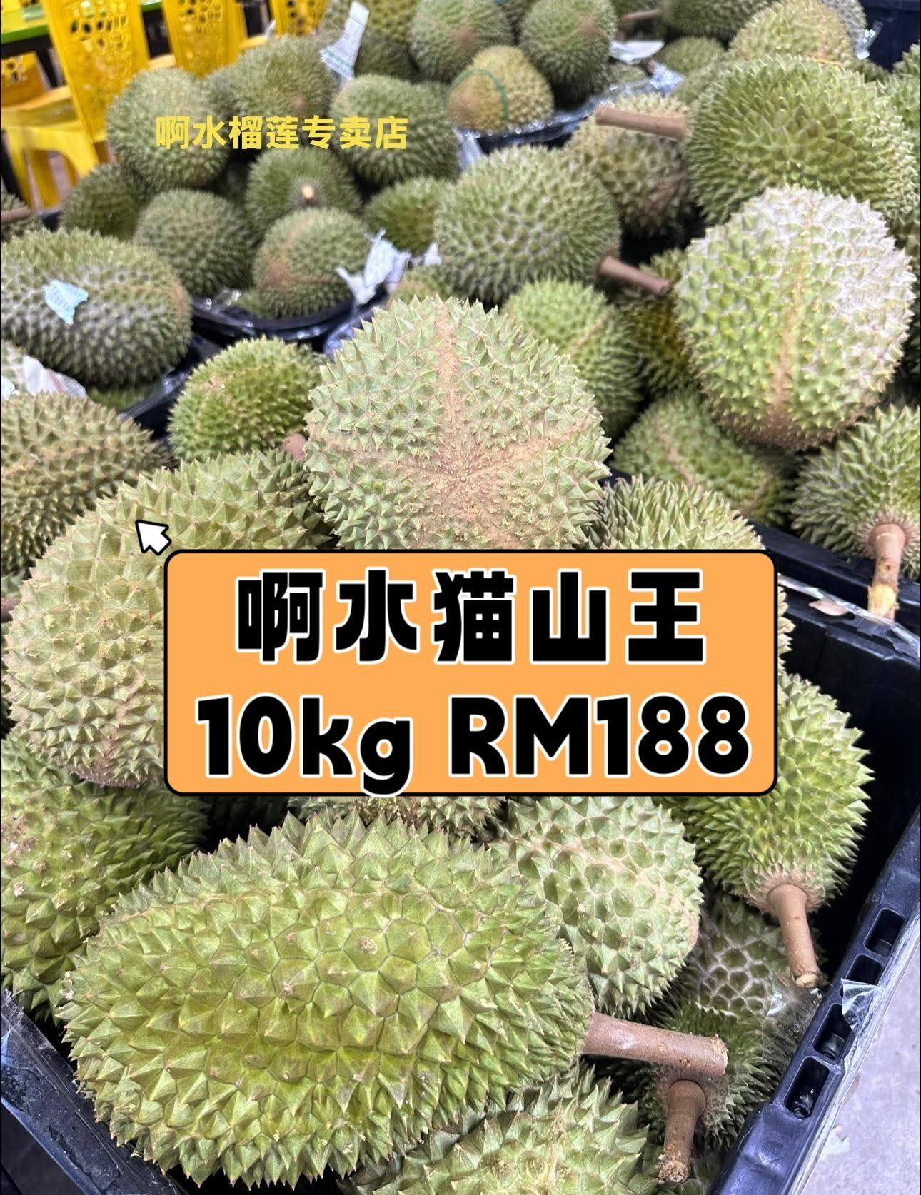啊水榴莲专卖店- 美好的星期三🌞🌞 啊水猫山王#10kgRM188‼️ 早车已经