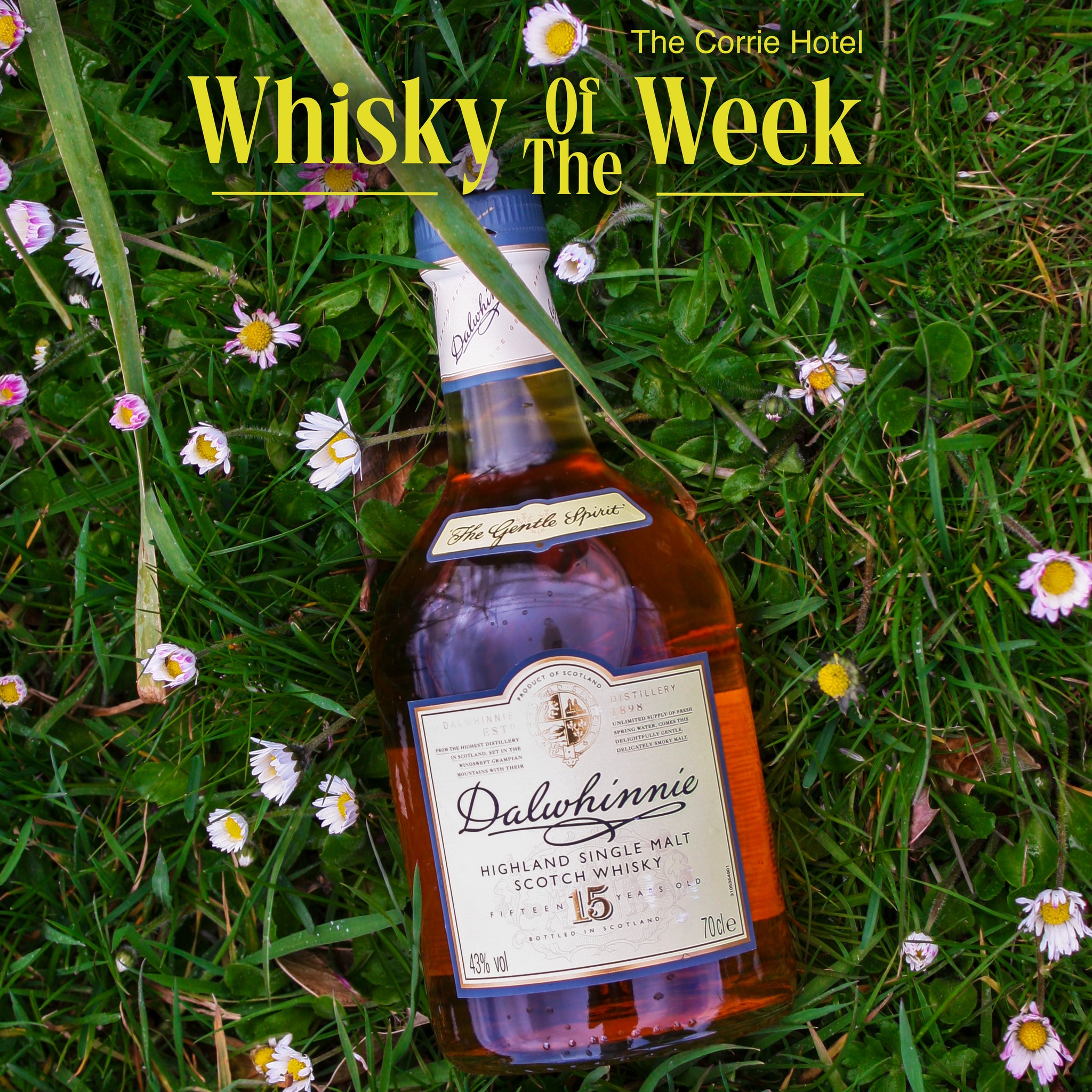 Old durbar 15-year-old blend, you'll enjoy a deep, layered flavour