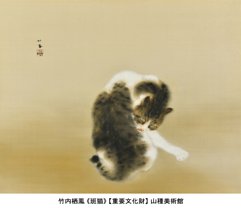 山種美術館 - 上村松篁《白孔雀》（山種美術館）。10代のころに見た絵