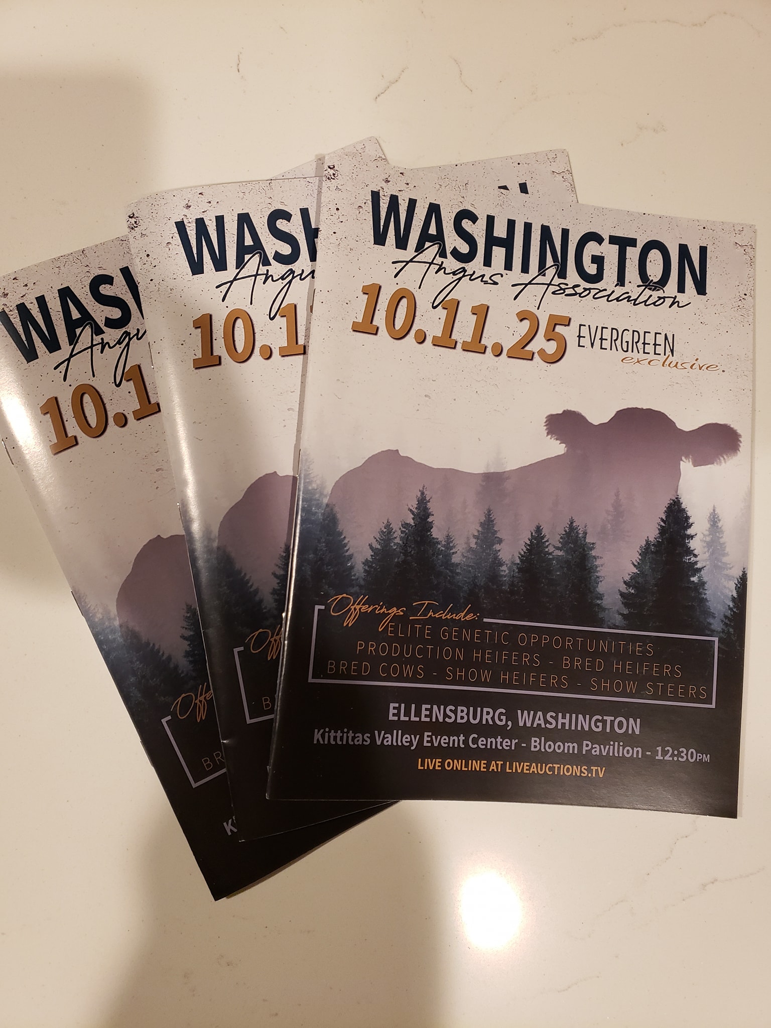 Washington Angus Association