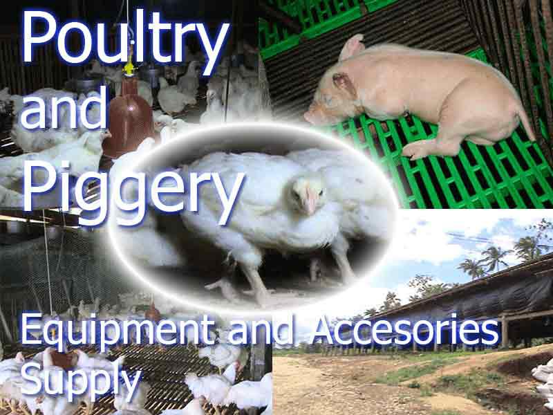 Edward's piggery & poultry... - Edward's piggery & poultry