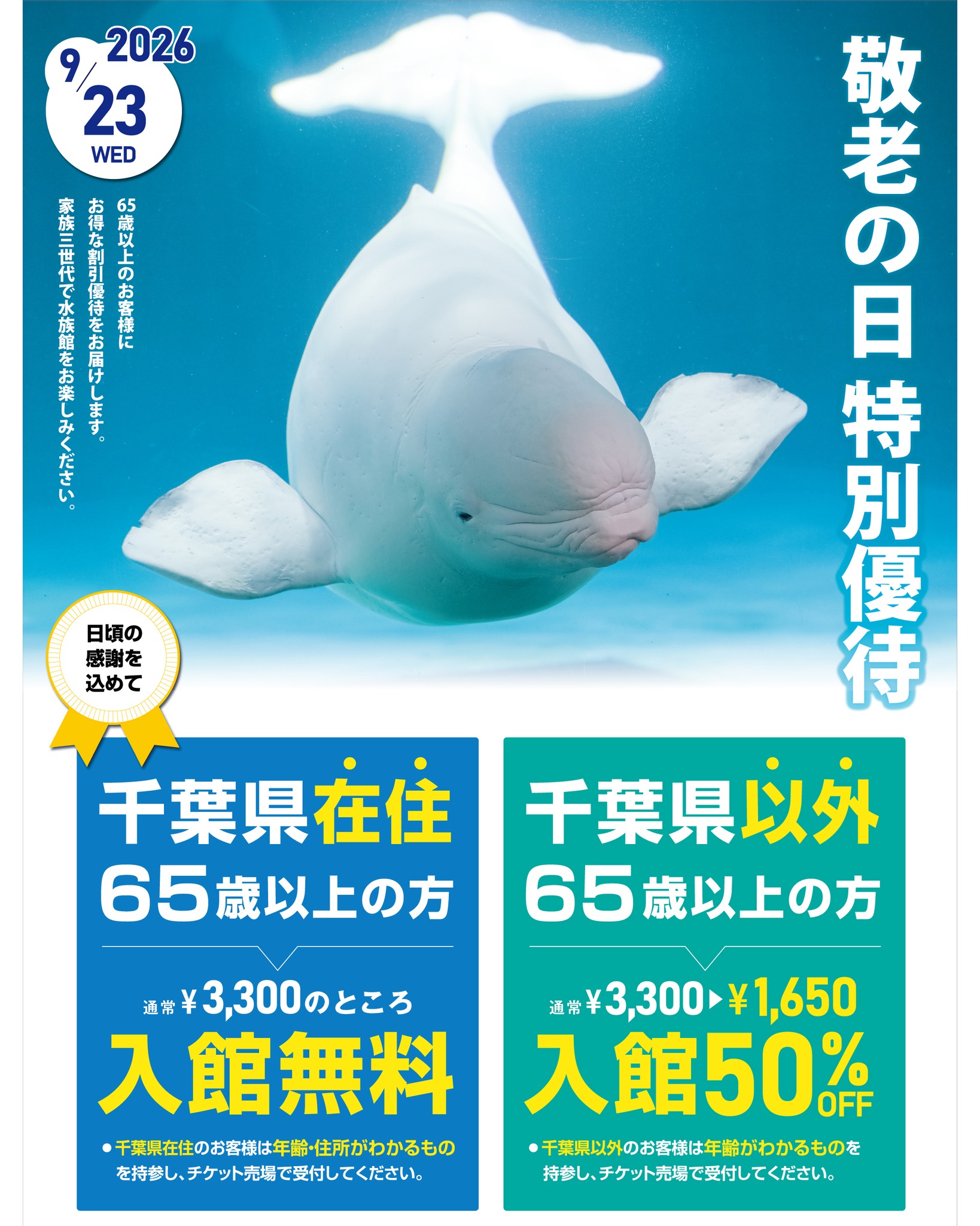ハズレなし！で大人気のぬいぐるみくじ「シャチくじ」に登場している1