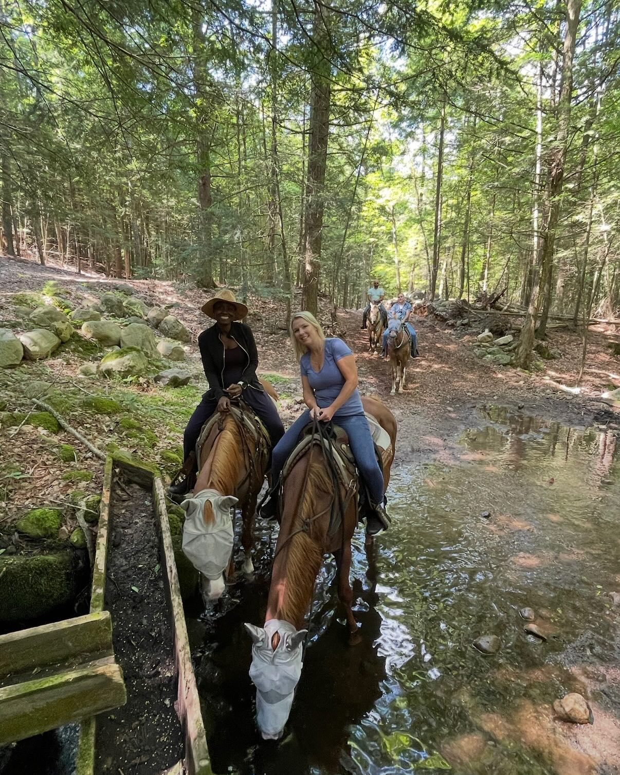 Mountain View Rocking B Ranch | Lake Luzerne NY