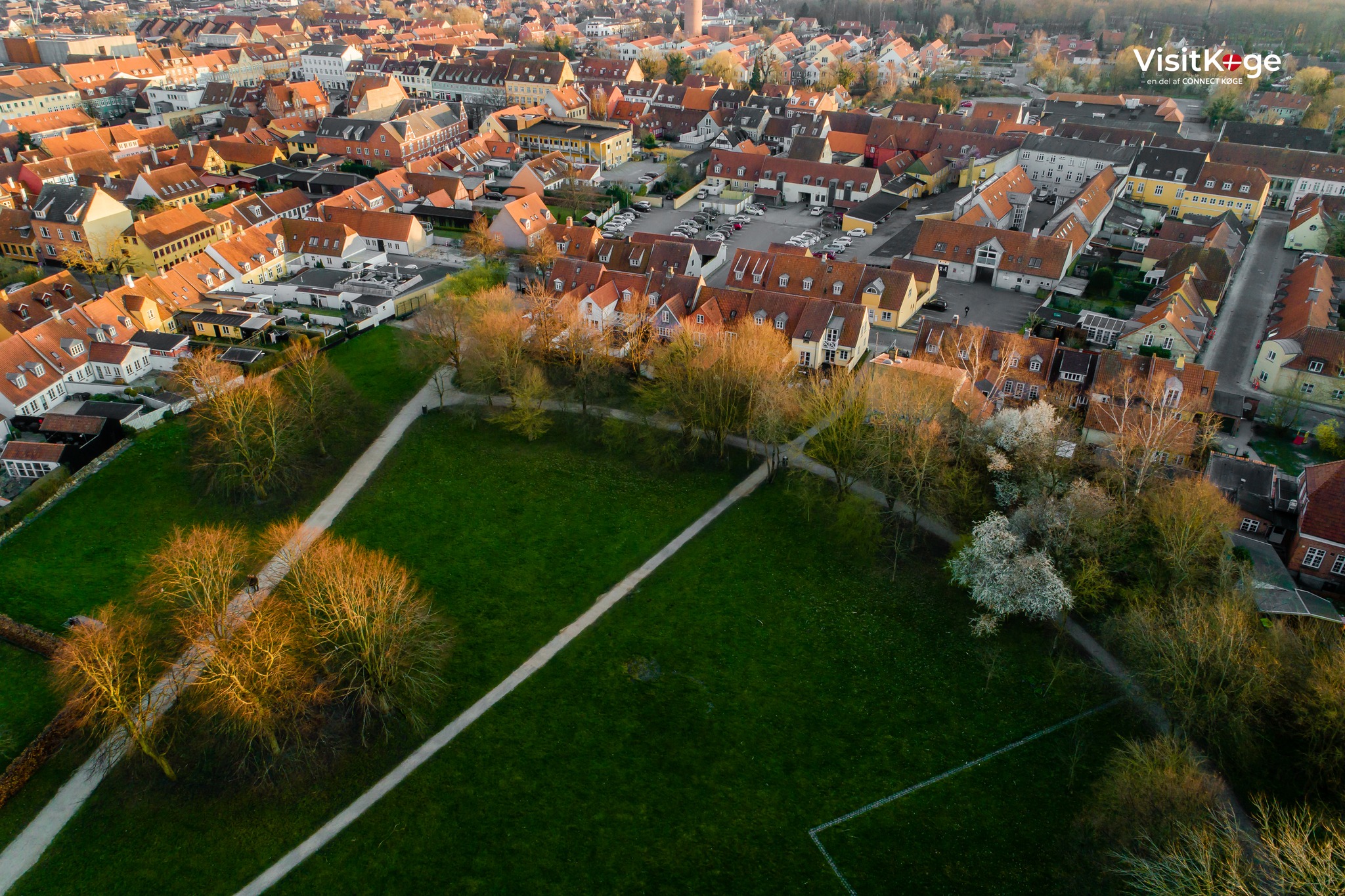 Økologien på Køge Torv added a... - Økologien på Køge Torv