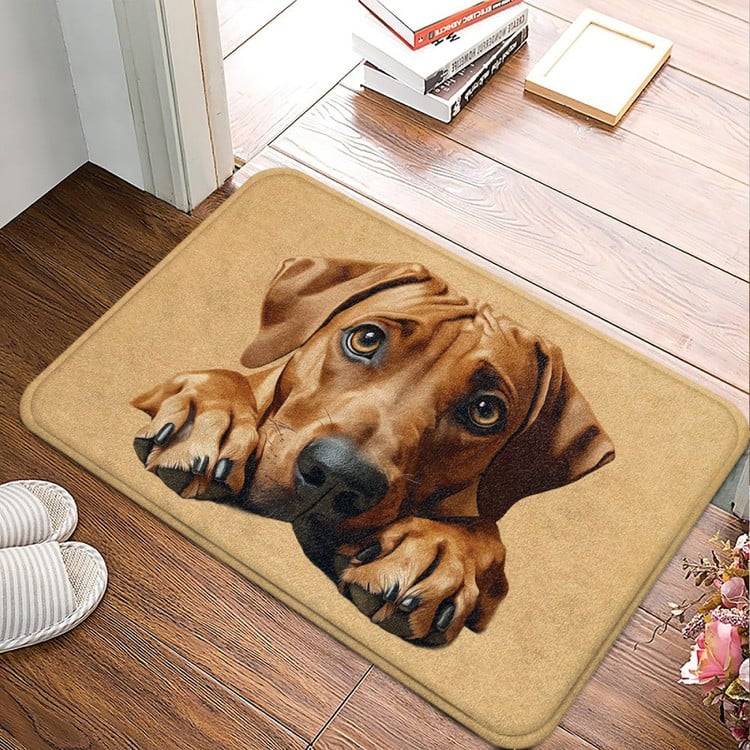 Rhodesian Ridgeback Lovers | Finally I found my Rhodesian Ridgeback ...