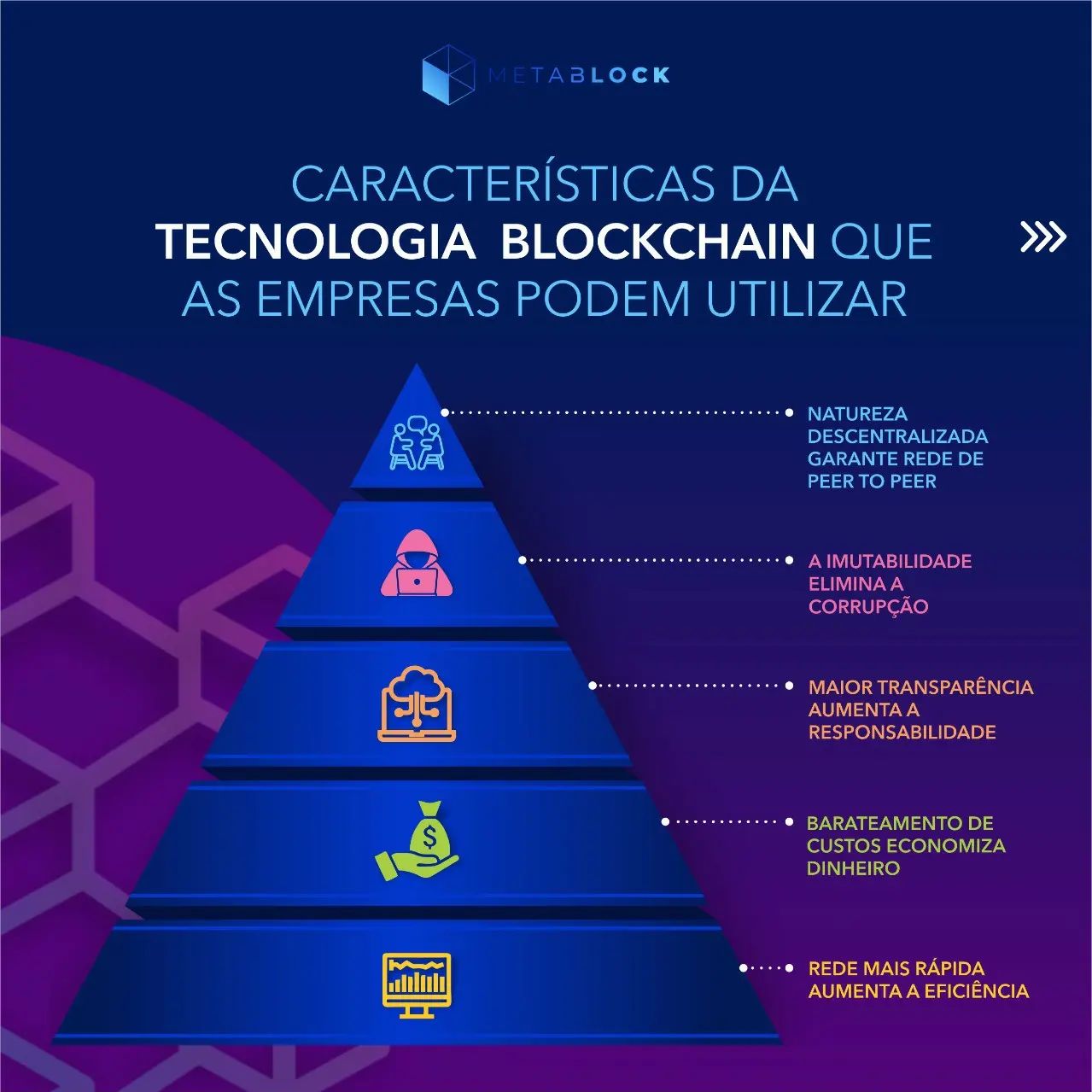 MetaBlock - 🌐 As blockchains públicas têm muitos recursos,...
