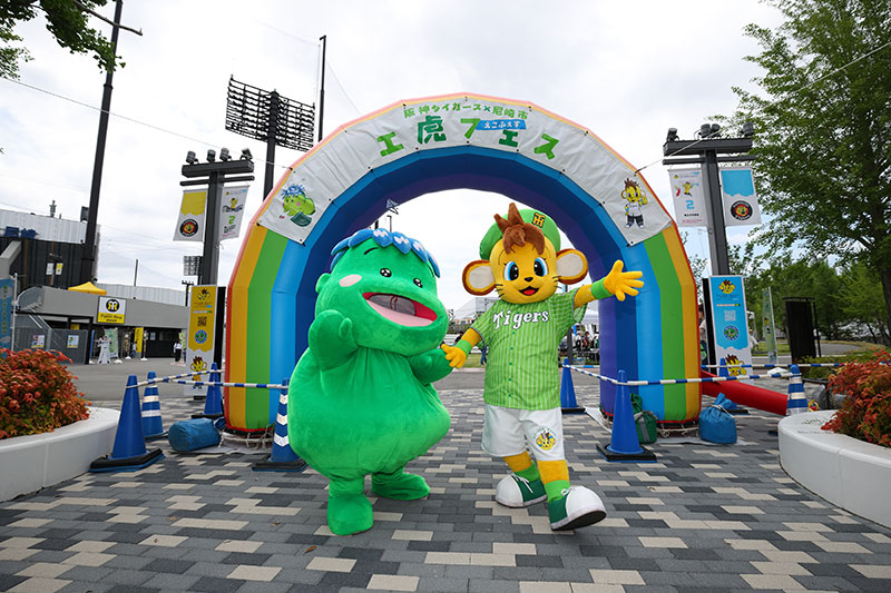 SGL】阪神タイガース×尼崎市 第2回「エ虎フェス」開催しました！🐯🌱 6