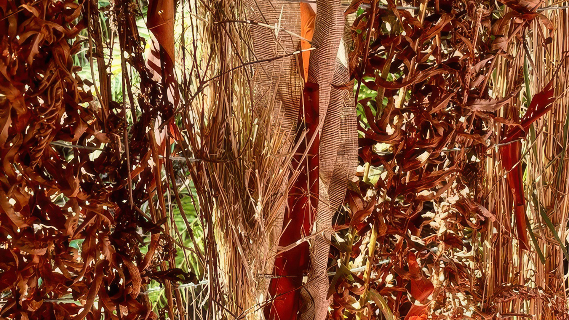 Woven World: A Hands-On Workshop Inspired by the Site-Specific ...