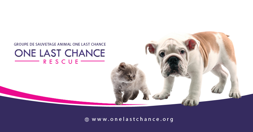 One Last Chance Rescue - Exotic placement | Facebook