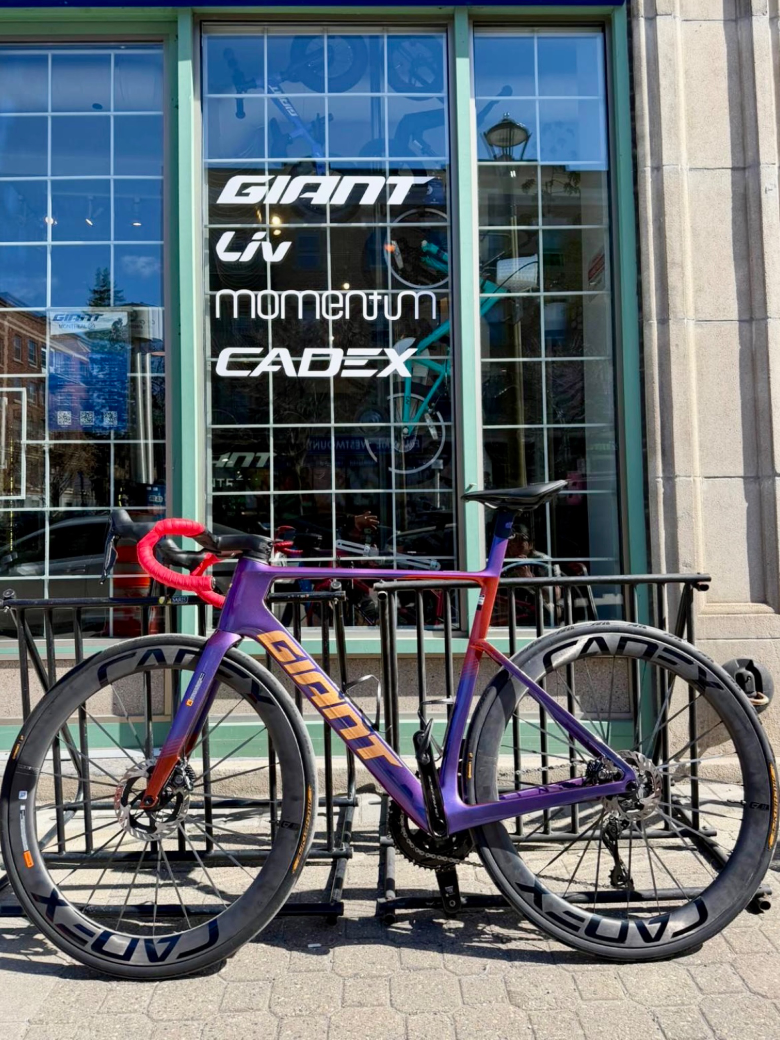 Giant Montreal